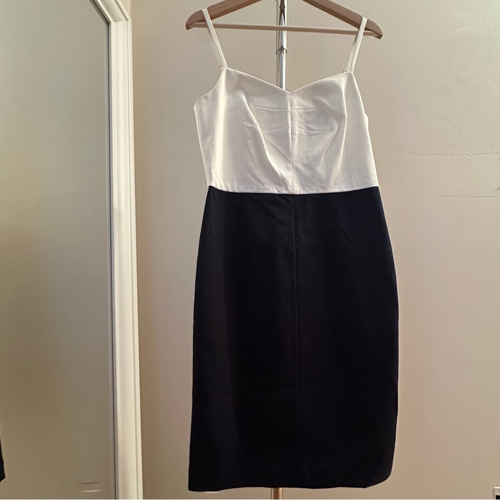 Banana Republic Monochrome Minimalist Dress for work